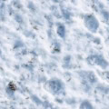 Fotohintergrund: Schneeboden – Ausschnitt 250 x 250 cm