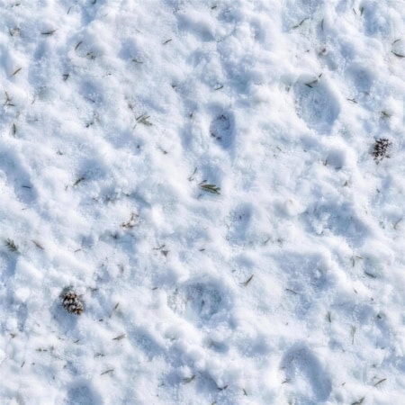 Fotohintergrund: Schneeboden