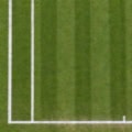 Floor: Tennis-Rasenplatz Grundlinie