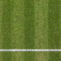 Floor: Tennis-Rasenplatz mit Linie