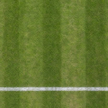 Floor: Tennis-Rasenplatz mit Linie